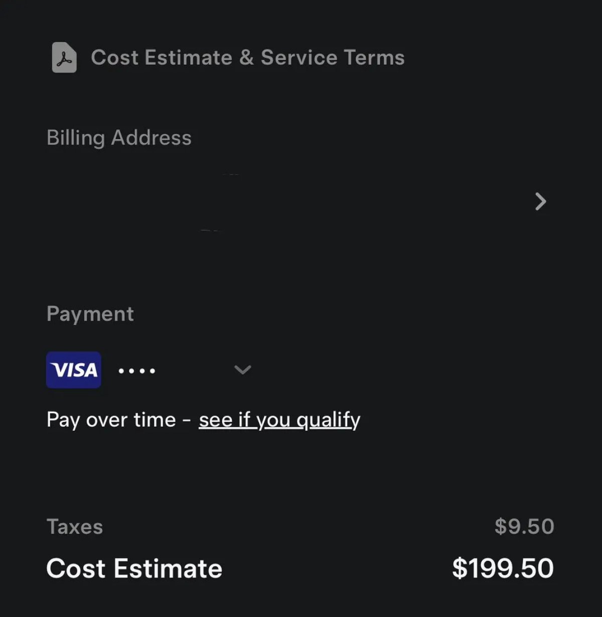 Tesla Pay Later Option feature in update 4.46.0