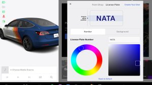 How to Create Custom Tesla License Plate Visualizations