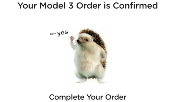 Tesla's 'Haha, Yes' Hedgehog: What It Means and Where It Came From